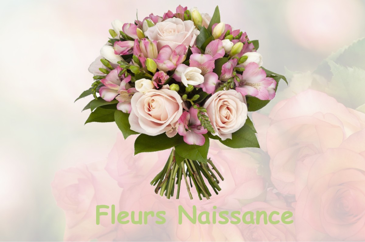 fleurs naissance RAINANS