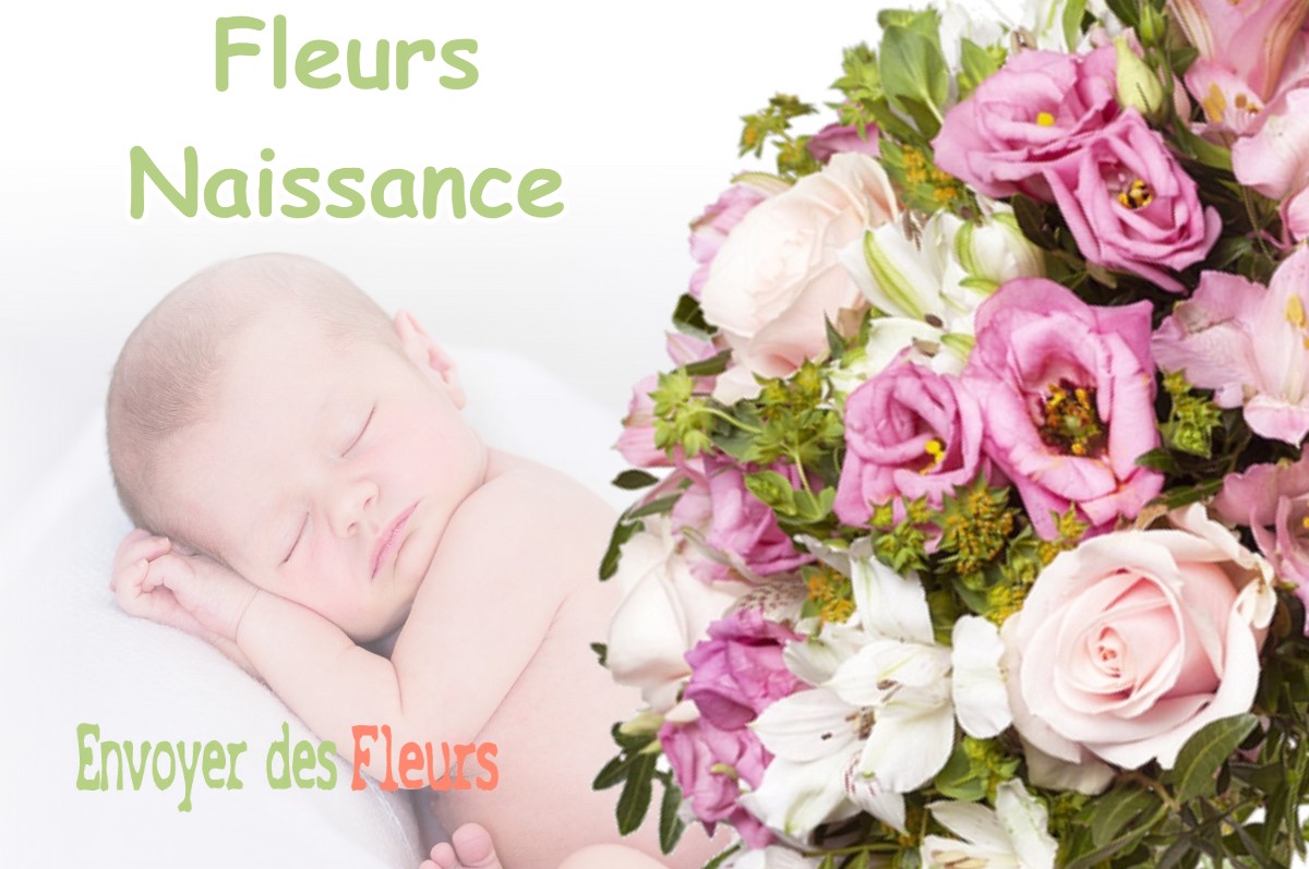 lIVRAISON FLEURS NAISSANCE à RAINANS